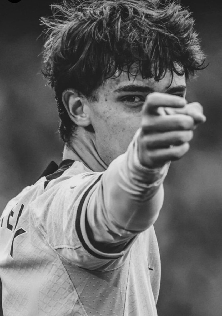 TheChelseaForum's tweet photo. MORNING GAIN🚨

Chelsea followers gain!!! Drop your handles, like and follow everyone who likes yours. Let's do this blues 

Like and REPOST for others. 🔵⚪️ https://t.co/nLlC8vLbfL