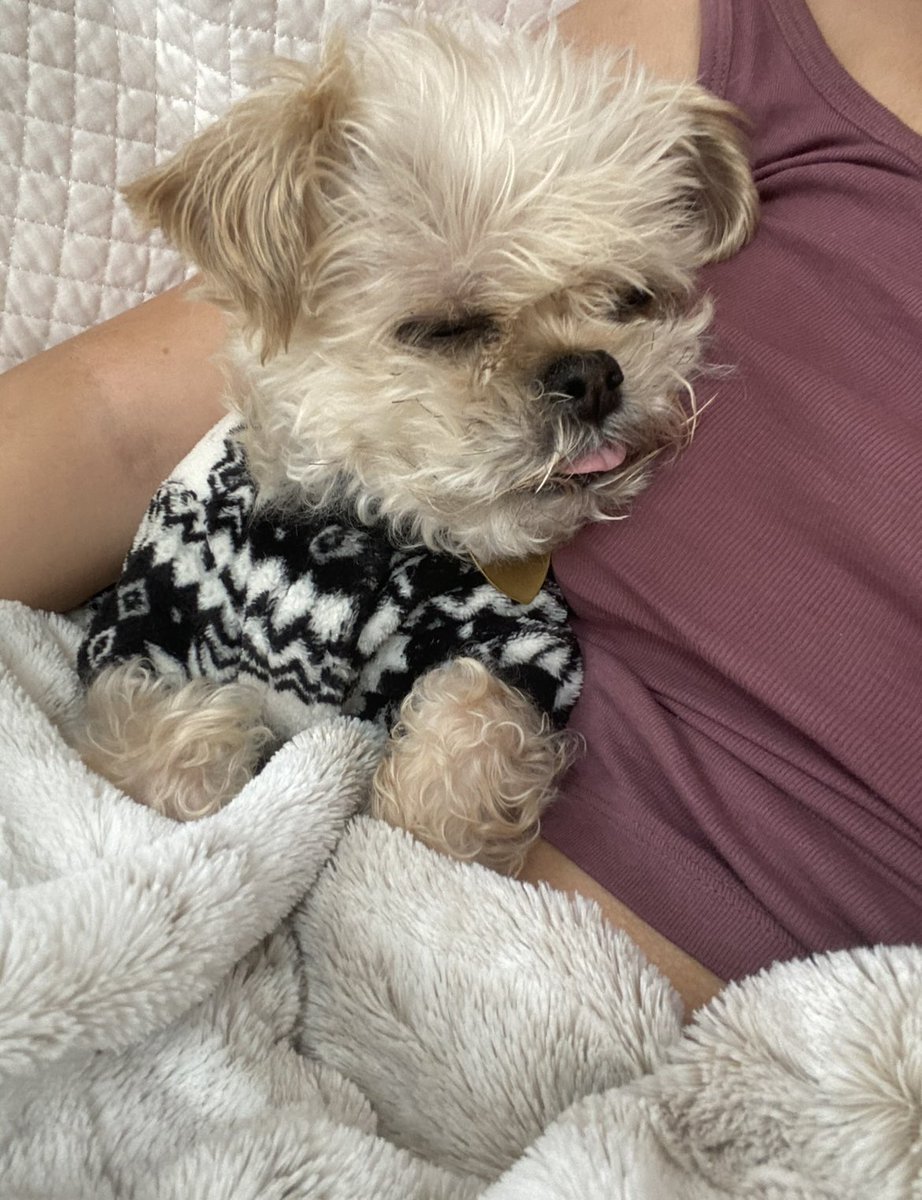 Hillary Brooke tweet media