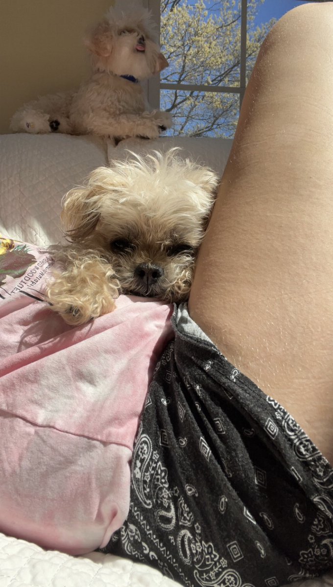 Hillary Brooke tweet media