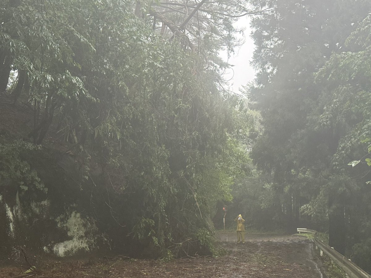 ru9ne's tweet photo. 大船渡市赤崎町合足方面
長崎から合足方面に行く山道が台風の影響で倒木が4ヶ所ありました。
車が通れるように木を切って道を作りましたので通られる際はお気をつけてください。
また明日倒木の撤去作業を行う予定です。 https://t.co/Ak5hYF1gPI