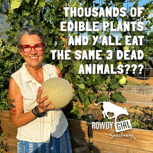 It is completely needless suffering that we inflict upon poor chicken, cow, and pig babies simply because we are going along with the propaganda we have been force-fed since we were babies.

#GoVegan #kindness #healthy