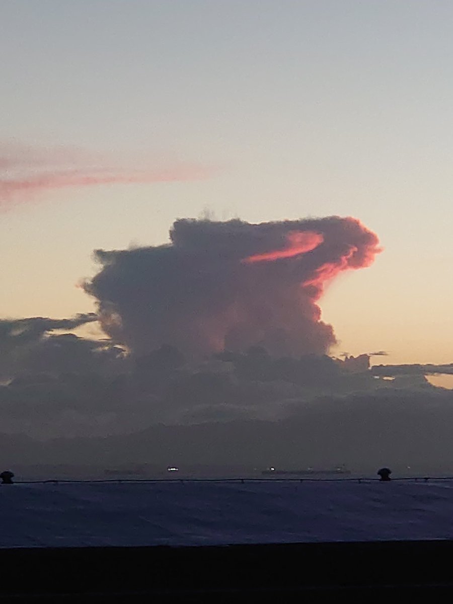 RmK46214's tweet photo. ウサギに見える雲！！！ https://t.co/I89NRkuM0e
