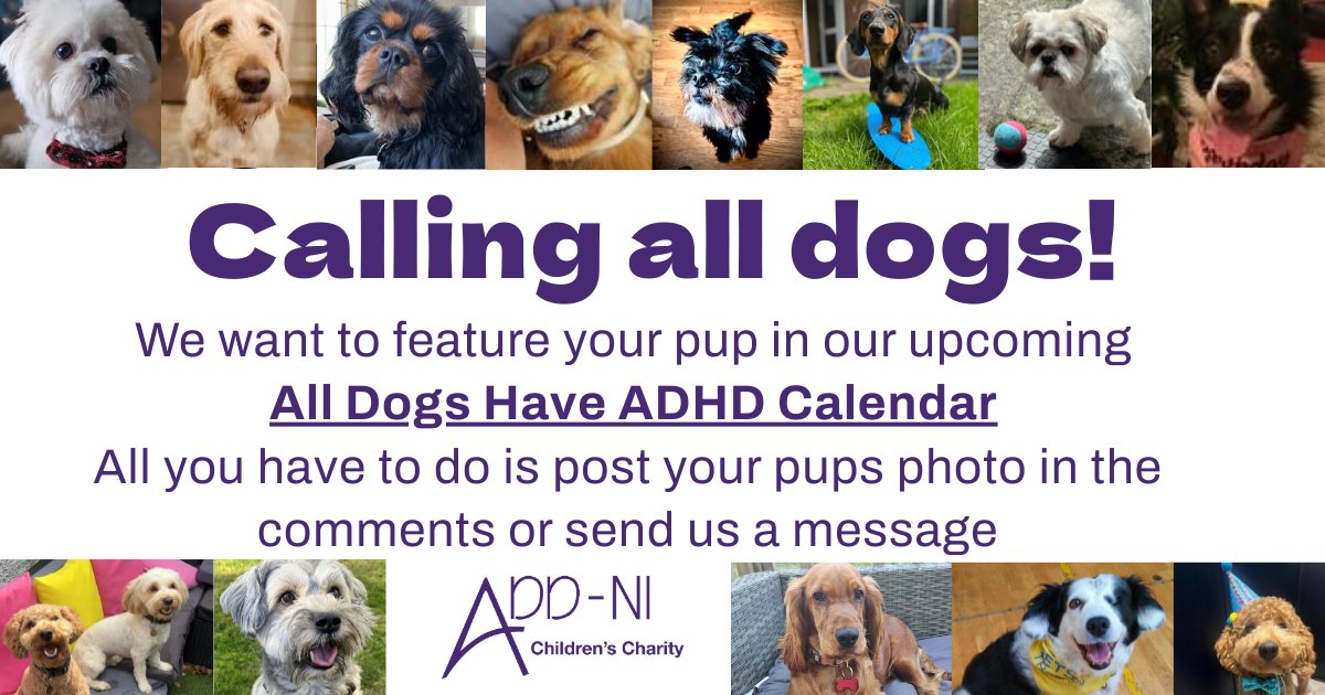 ADDNI1's tweet photo. πFinal call for your dog! We need your help w our All Dogs have ADHD Calendar! Either post your pup below or DM us! Don't forget to add their name! Thanks to all furmily members already sent! All dogs WILL be featured! #ADHD #NI #AlldogshaveADHD #Dogs #Pups #Calendar #Comingsoon https://t.co/nNK0ef1fjJ