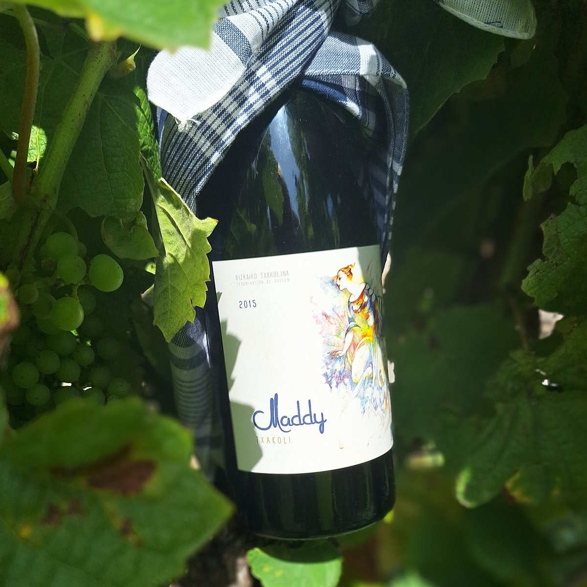💚En el corazón de las fiestas vascas, hay un
protagonista que nunca falta: el txakoli
🥂 Un brindis por nuestras raíces. Tradición y modernidad 🌿