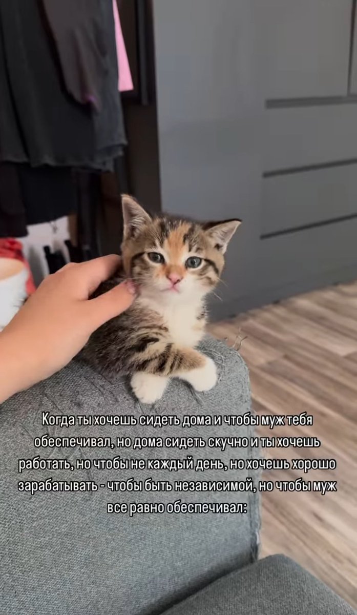 starry_ether's tweet photo. Расскажите о себе используя 4 мема из сохраненок https://t.co/SOxDG9BGnu