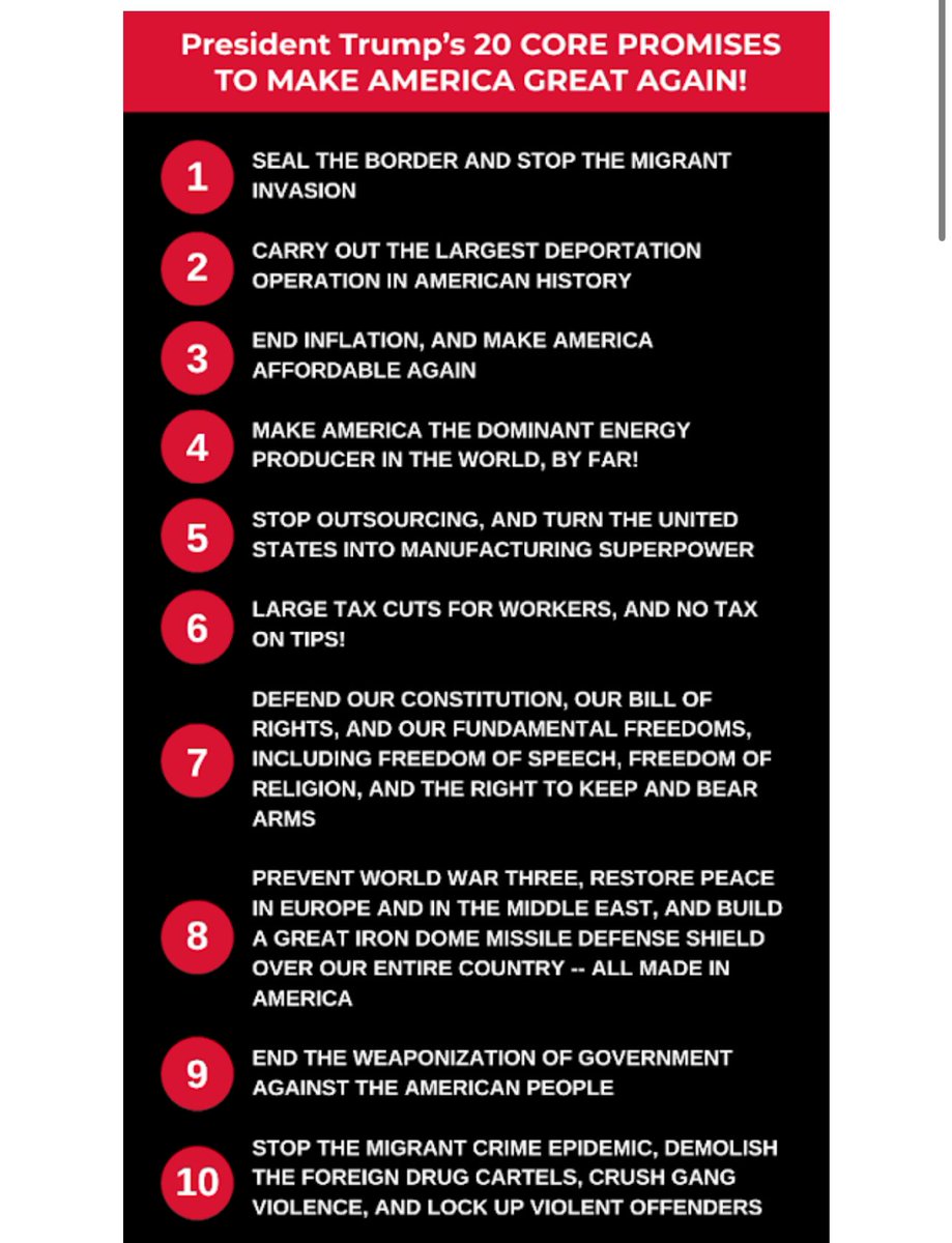 LauraLoomer's tweet image. President Trump’s 20 core promises to MAKE AMERICA GREAT AGAIN!