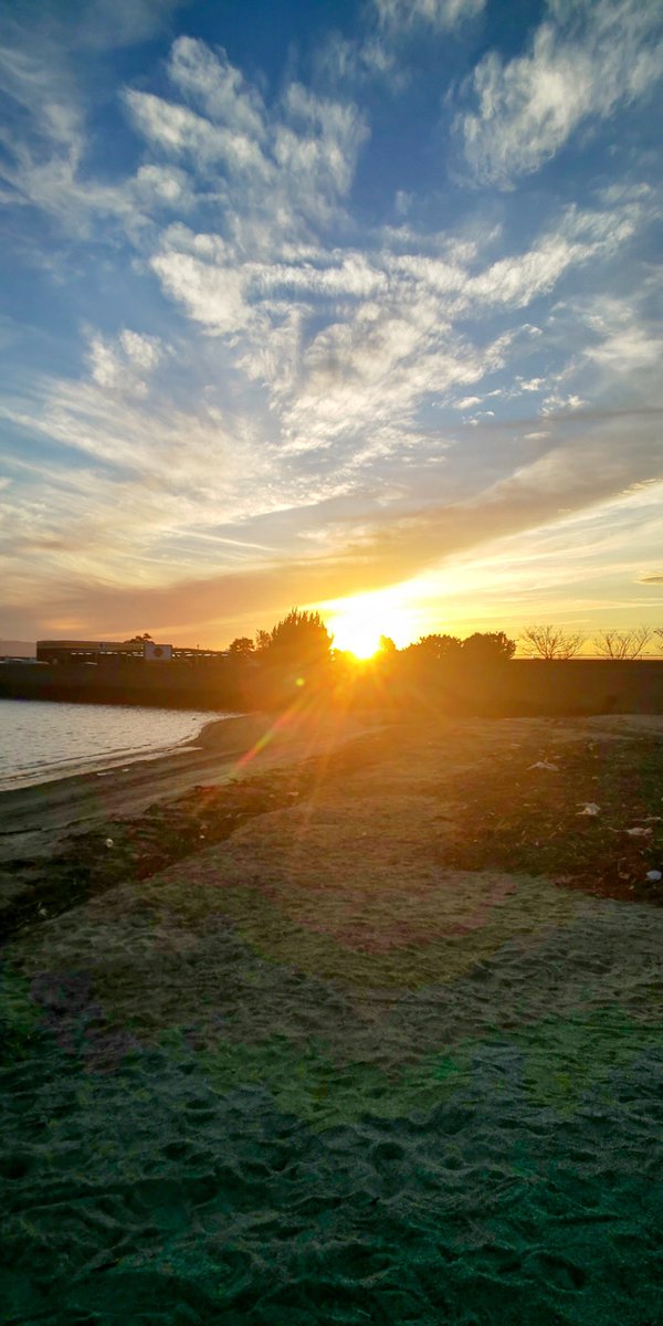 なぜ100か0かの考え方にたちまち至るのだろう。20は50は、あるいは70の人生を生きようとはならないのか、、。Tの報せを聞いて。