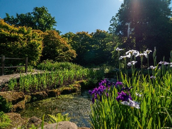 Wakehurst must be one of the best outdoor classrooms in the world! Julie Whelan, Learning Manager @wakehurst_kew says: “Plant and seed science is woven into our work with schools at Wakehurst, as we’re committed to inspiring the next generation and engaging them with nature."