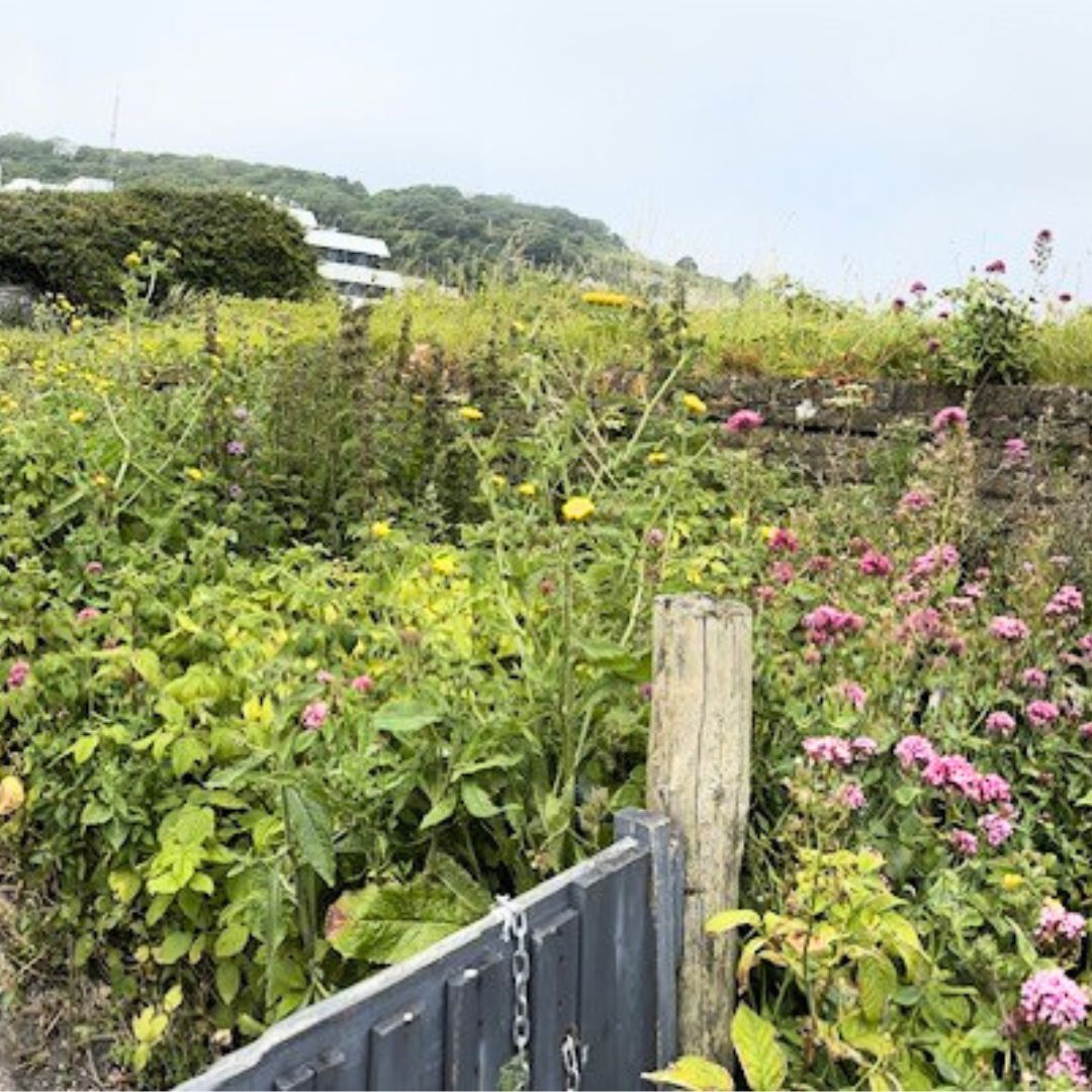 Emmaus Dover tweet media