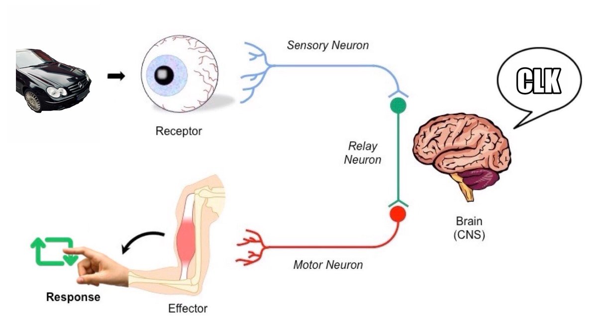 2CLK200's tweet image. 