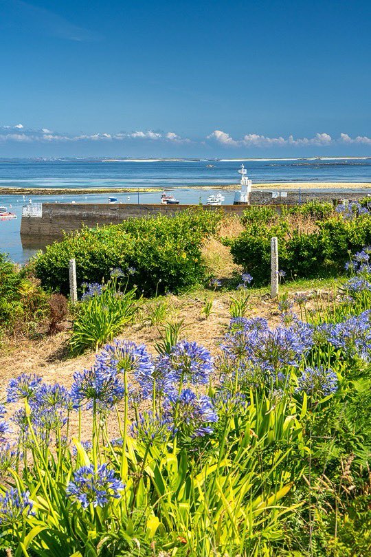 mathieurivrin's tweet image. 𝑬𝑻𝑬 𝑨 𝑴𝑶𝑳𝑬𝑵𝑬 

La petite île de Molène était magnifique en ce début d&apos;été. Le ciel était bleu (oui oui ce moment a bien eu lieu !), l&apos;eau transparente et turquoise, les rues étaient en fleurs et il n&apos;y avait pas un bruit dans le port.
Au milieu du port cette charmante…
