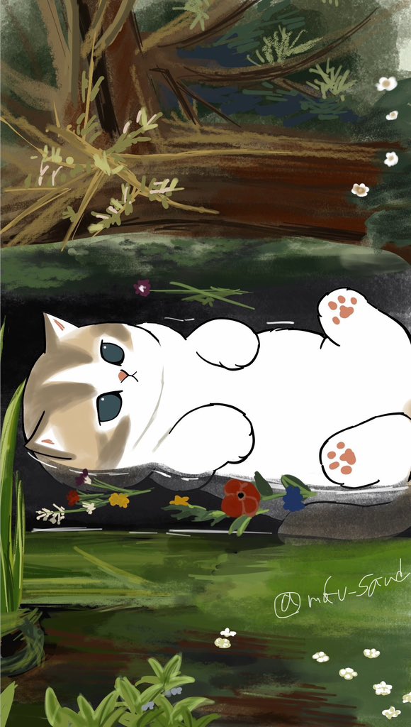 mofu_sand's tweet photo. 涼しくなーれ https://t.co/jXdz0iHrQt