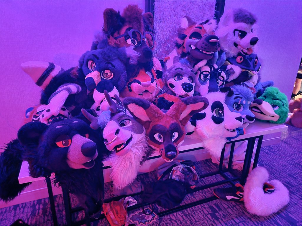 Jay The Gryphon tweet media