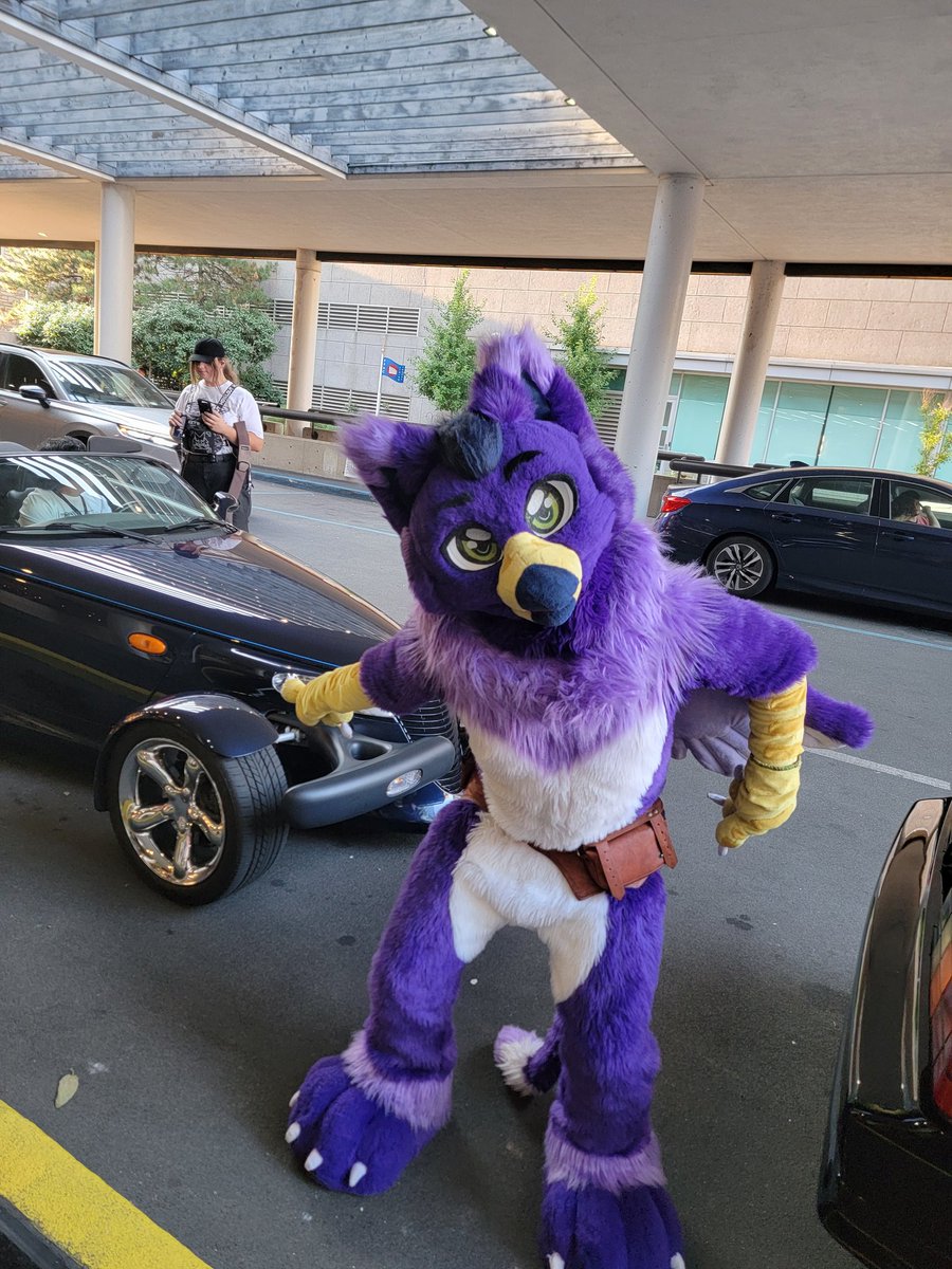 Jay The Gryphon tweet media