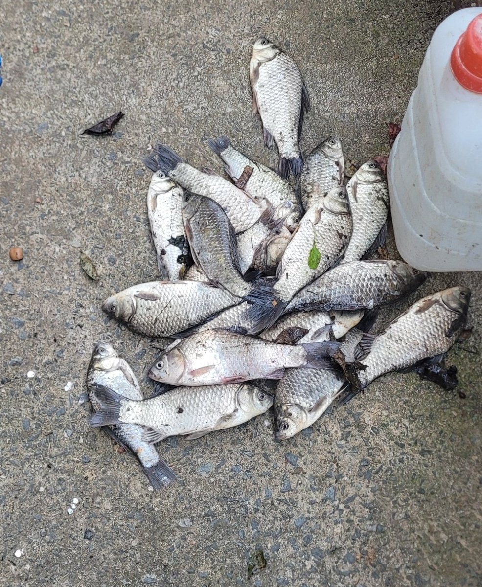 사람 발길이 거의 닿지 않는 산속 저수지에서 아무생각 없이 낚시나 하고프다.. 서울 올라오고나서는 바다든 민물이든 낚시를 거의 못했네.. 집에가고싶다.. 서울생활은 너무 지겨워..