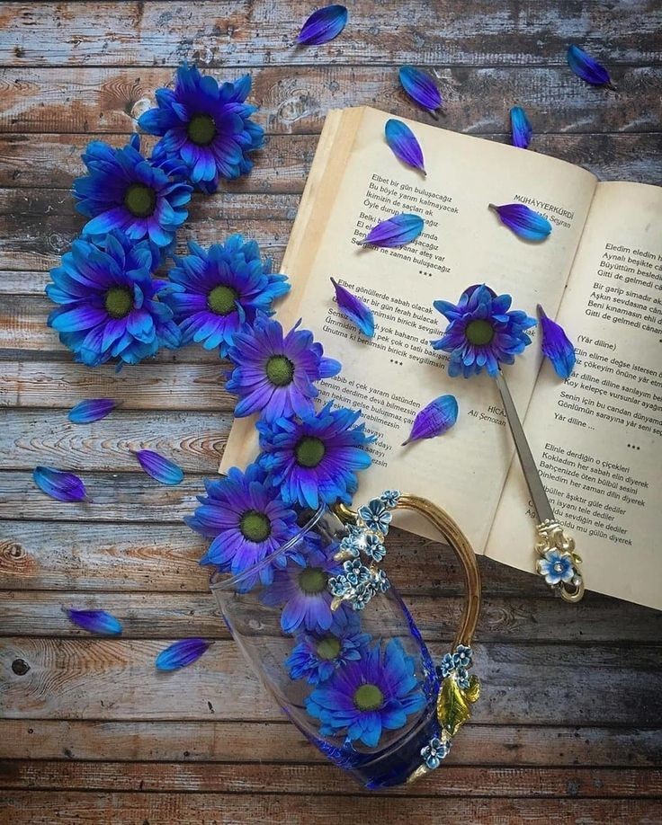 Elif Abe🇵🇰💫 tweet media