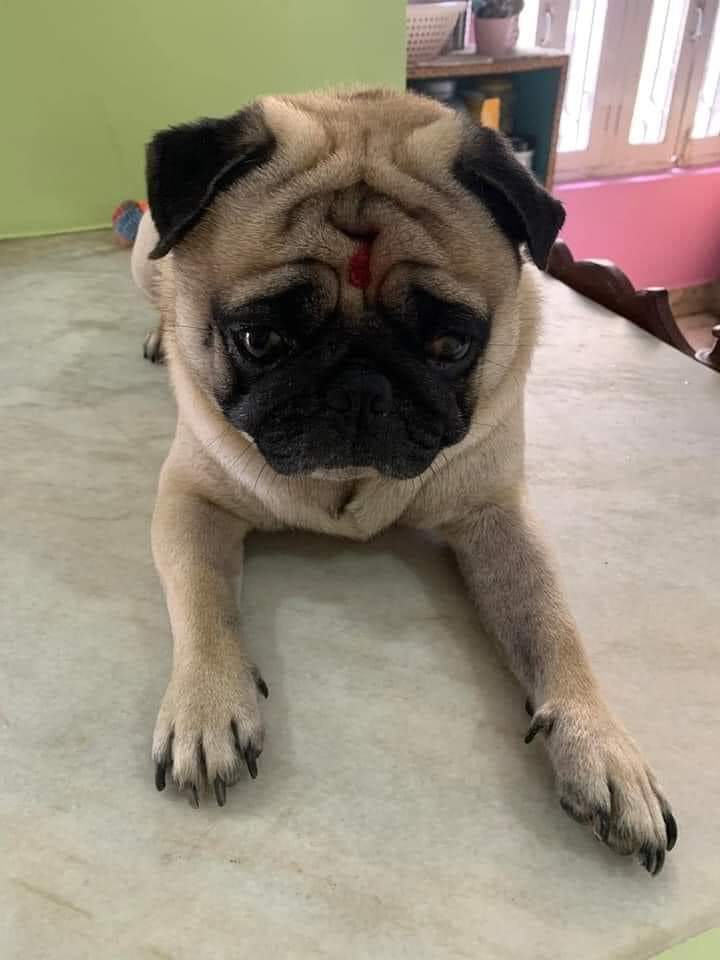 Parfect shoot 🥰😘