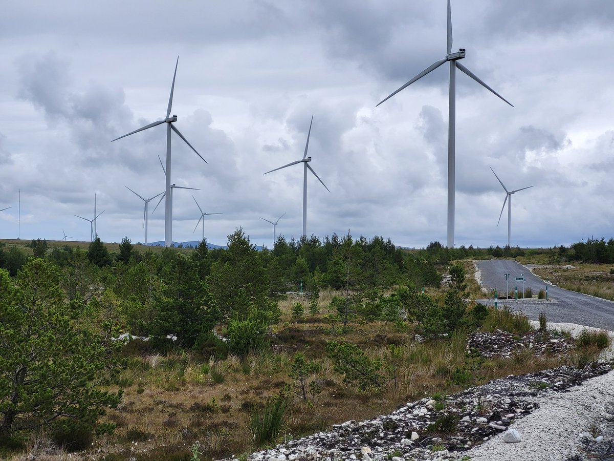 whittledaway's tweet image. This is a recent photo of a wind farm built on a bog in Co. Mayo. The hydrology is destroyed. The damage bog is releasing carbon while the trees are invasive lodgepole pine. The biodiversity is also destroyed. Permanent impacts to water quality also. All round a bad idea.