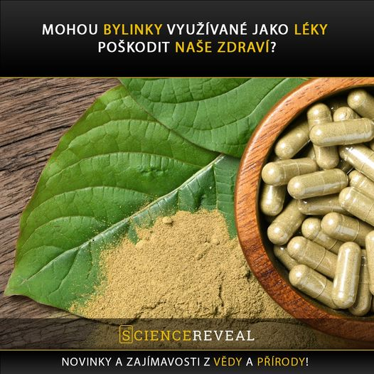 Počet hospitalizovaných lidí v důsledku předávkování bylinnými přípravky stále stoupá.
sciencereveal.cz/2024/08/mohou-…