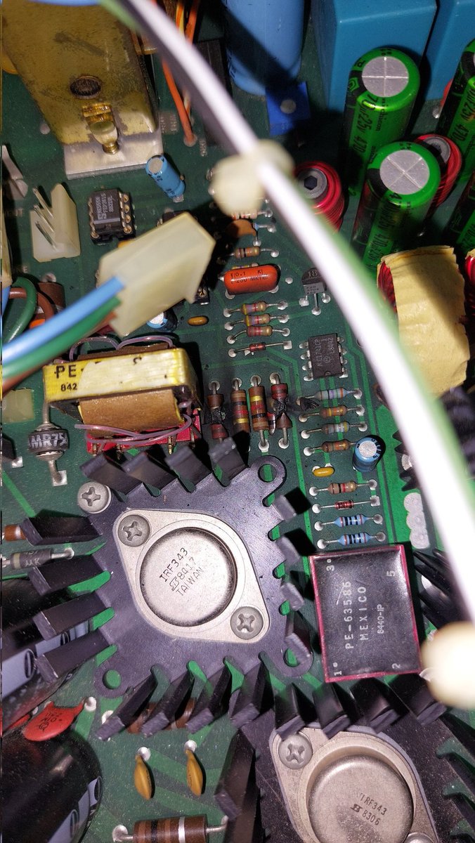 NikoDaFloof tweet media