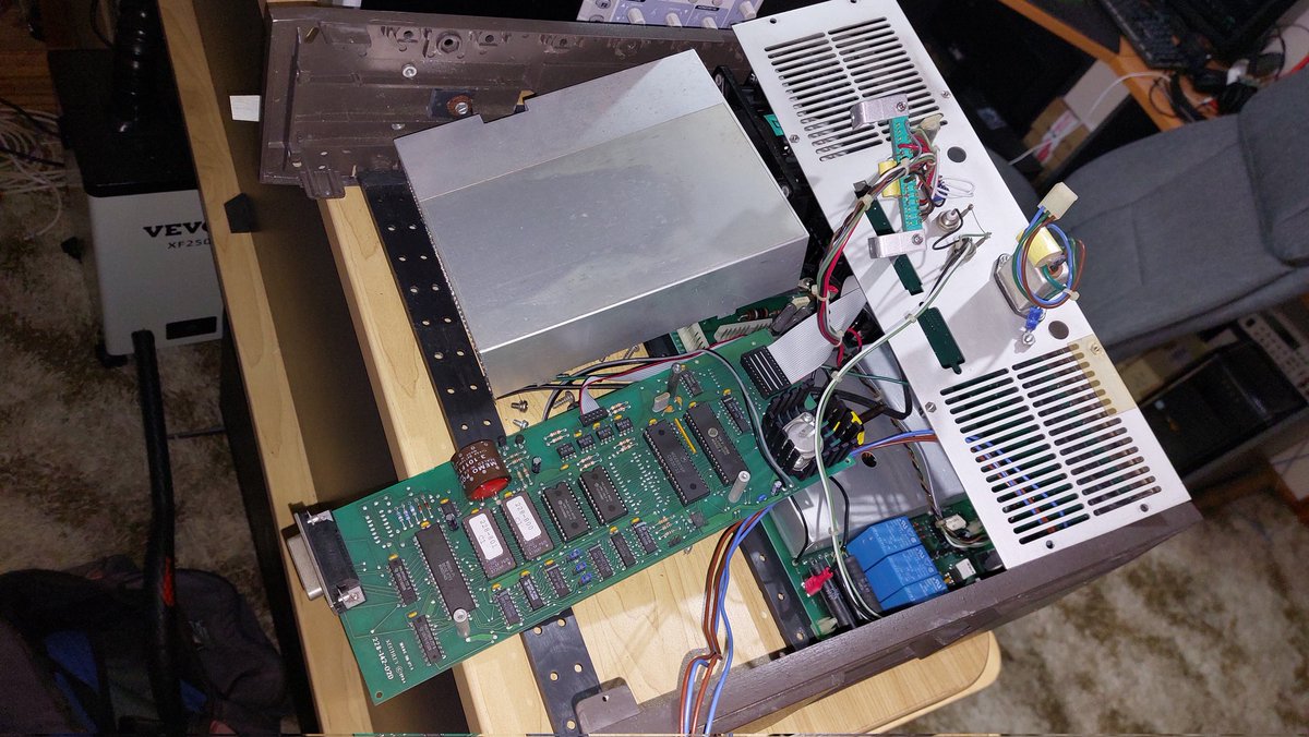 NikoDaFloof tweet media