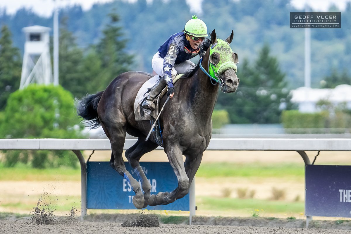 GeoffVPhoto's tweet image. Ten years since I was last snapping pics @EmeraldDowns and it was a beautiful day for racing! Special thanks to my friend for access and for creating smiles on everyone's faces! 8/11/24

#EmeraldDowns #HorseRacing #sportsphotography #Racing #Horses