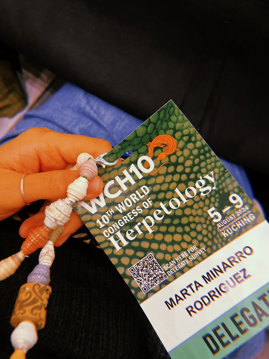 stinky_marta's tweet photo. Going back home after an amaizing week ✨ It’s been awesome to share my work at the #WCH10 and meet amazing people! 
B. busuangensis #tadpole description will be out soon 🔥
Nos vemos en Gijón :) https://t.co/FJMvMdm6BA