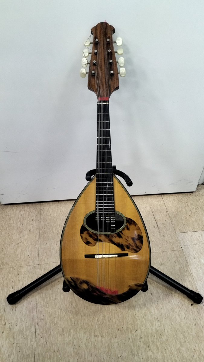 hardoffmitachi's tweet image. CALACEのマンドリン クラシコBを入荷致しました！
世界的にもマンドリンといえば「CALACE」という共通認識のあるスタンダードなブランドで、現行のメーカーで最も歴史のあるブランドになります。
ぜひ店頭にてご覧くださいませ！
#ハードオフ 
#CALACE 
#マンドリン