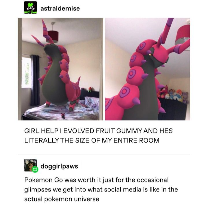 Fruit Gummy!