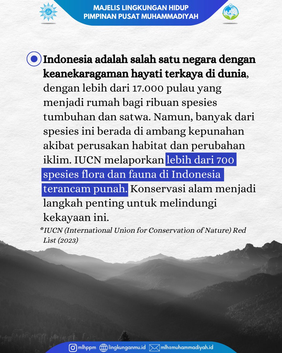 MLH PP Muhammadiyah tweet media