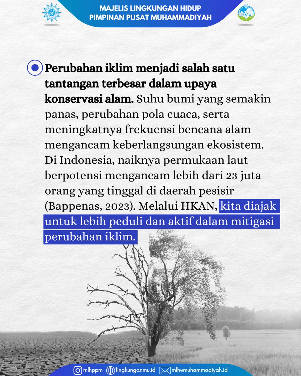 MLH PP Muhammadiyah tweet media