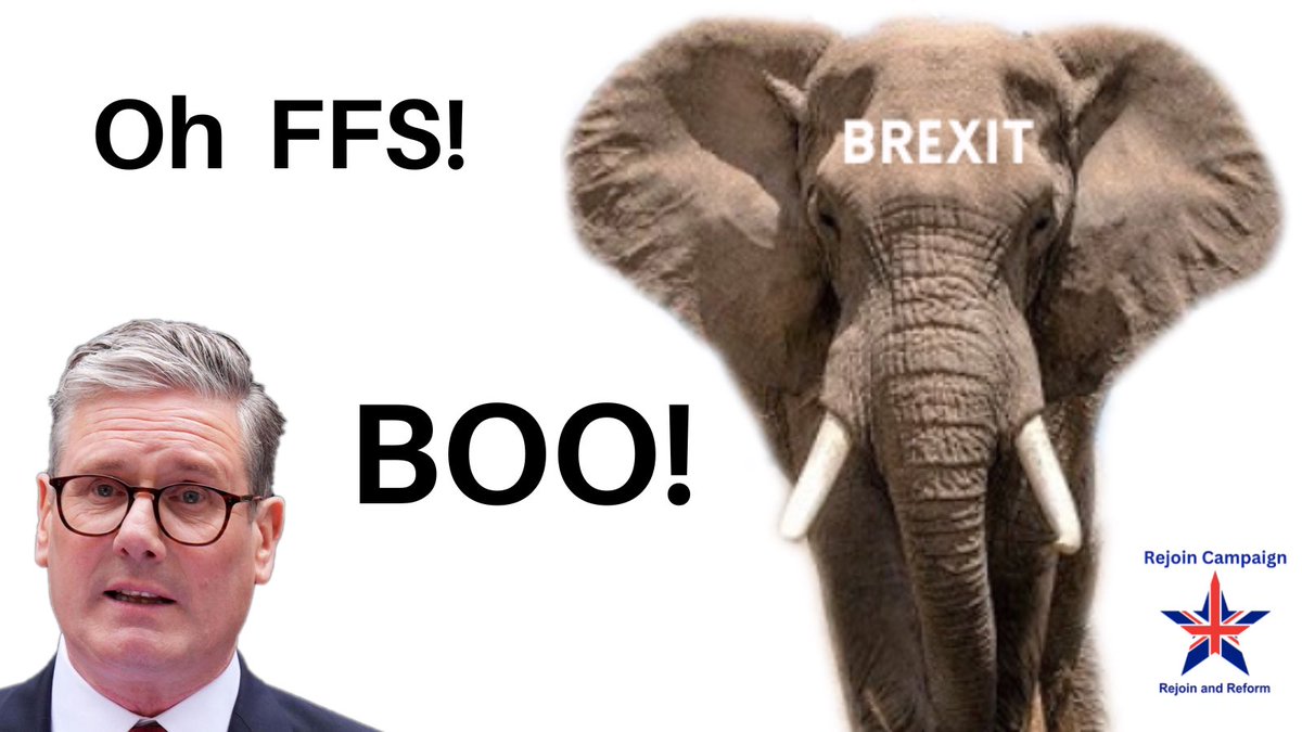 • BUSINESSES ARE STILL GOING BUST because of Brexit
• INVESTMENT IS STILL ON ITS KNEES because of Brexit
• MEDICINES ARE STILL IN SHORT SUPPLY because of Brexit
• OUR BORDERS ARE A SHAMBLES because of Brexit
• WE’RE STILL BEING MADE POORER because of Brexit

IT’S RIDICULOUS