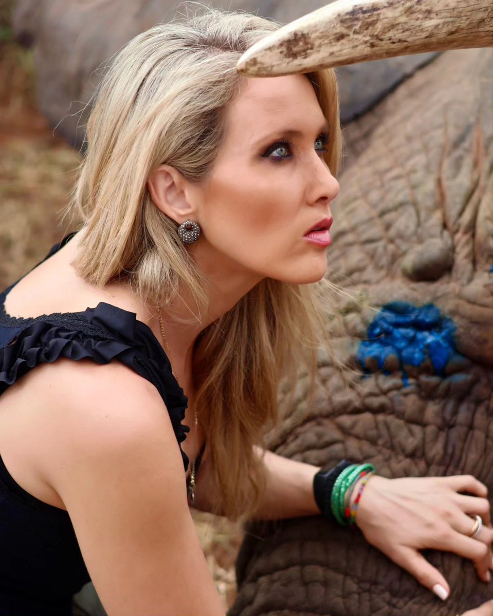 #WorldElephantDay2024 🐘 As we observe this important day in conservation, honoured to share my day with  remarkable team <a href="/elephantsalive/">Elephants Alive</a> ~ Ihad the absolute privilege of being able to collar elephants with this world class team of scientists, academics &amp; wildlife warriors. 🌿🐝