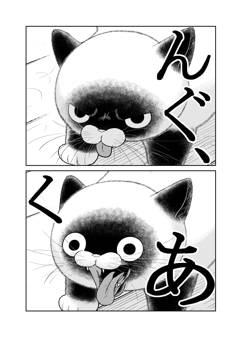 (3/3) 