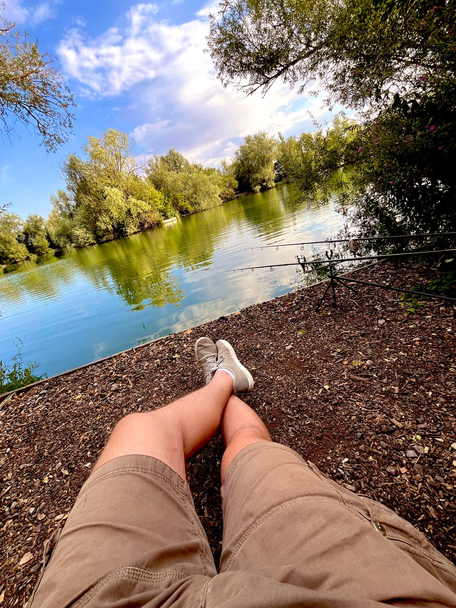 Terry👨🏻💻 tweet media