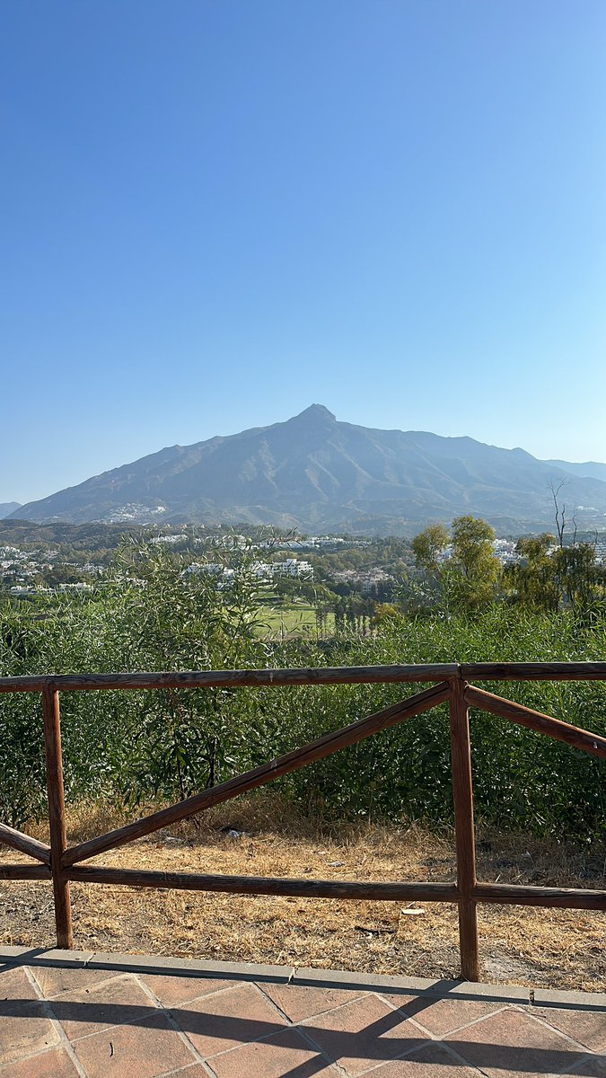 _Pontare's tweet image. Gm! Starting this week with a nice morning walk in the sun. Now ☕️ and work!