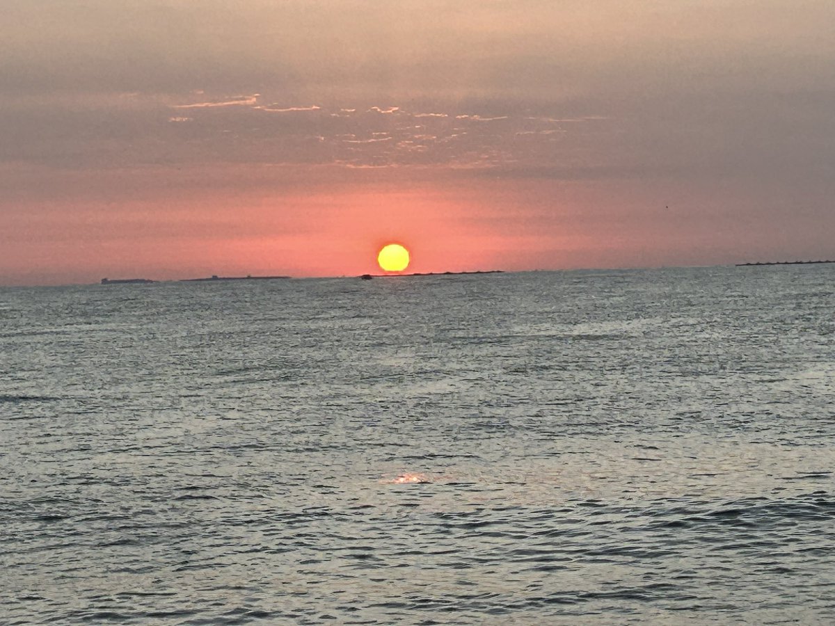 GRUPONEXUS2006's tweet photo. Hola a todos!

¿Estás pensando en VENDER o ALQUILAR tu propiedad en Guardamar del Segura, La Mata, La Marina o Torrevieja? 🌞 ¡Estamos aquí para ayudarte a hacerlo de manera rápida y sencilla! Ponte en contacto con nosotros y aprovecha de nuestras ofertas exclusivas. 🏡✨

#Venta https://t.co/ts6qKL0ohx