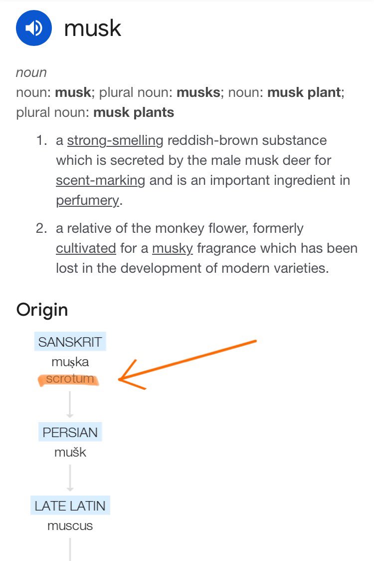Musk = Scrotum