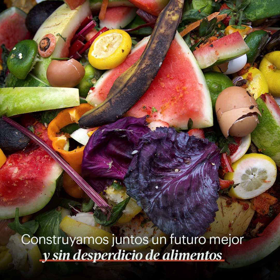 GRUNDIG España (@grundiges) on Twitter photo En Grundig, luchamos contra el desperdicio de alimentos. 🌍
Con la iniciativa #RespectFood y en colaboración con <a href="/FoodforSoul_it/">FoodforSoul</a>, hemos salvado más de 1070 toneladas de comida y proporcionado 2,398M de comidas. Únete a nuestra misión por un futuro sostenible. 🌿✨
#Grundig En Grundig, luchamos contra el desperdicio de alimentos. 🌍
Con la iniciativa #RespectFood y en colaboración con <a href="/FoodforSoul_it/">FoodforSoul</a>, hemos salvado más de 1070 toneladas de comida y proporcionado 2,398M de comidas. Únete a nuestra misión por un futuro sostenible. 🌿✨
#Grundig