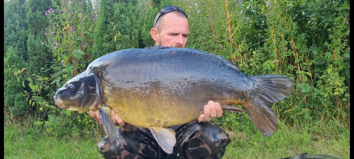 carpydan's tweet photo. Had a fan flipping tastic past few weeks fishing. 
Fishing areas no one fishes and catching carp no one catches. 
Pick of the bunch from 7 takes landed over the last few weekends. 
#carpy #carpfishing #dnabaits #outdoors https://t.co/otrLWLGuqj