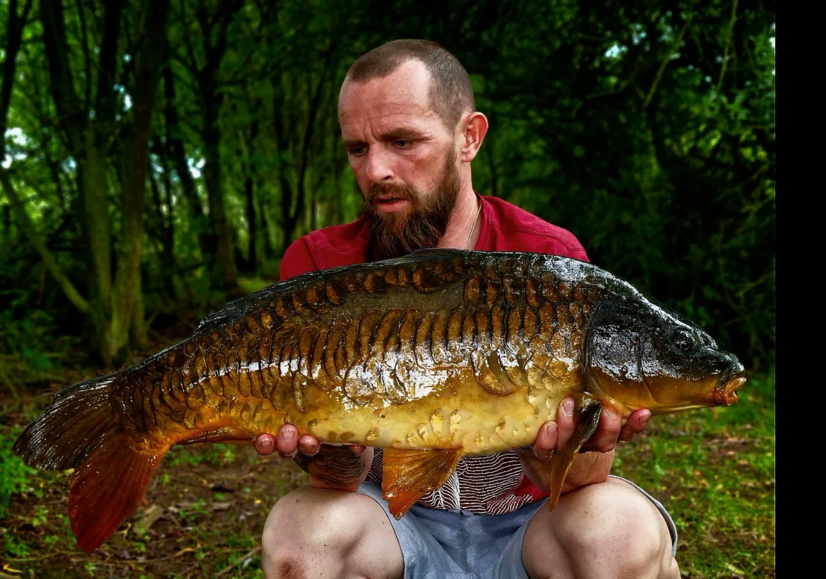 carpydan's tweet photo. Had a fan flipping tastic past few weeks fishing. 
Fishing areas no one fishes and catching carp no one catches. 
Pick of the bunch from 7 takes landed over the last few weekends. 
#carpy #carpfishing #dnabaits #outdoors https://t.co/otrLWLGuqj