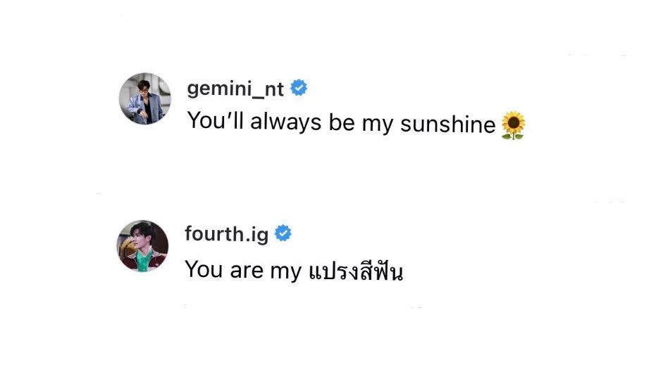ㅇㄴㄹㄷ 🪥🌻 tweet media