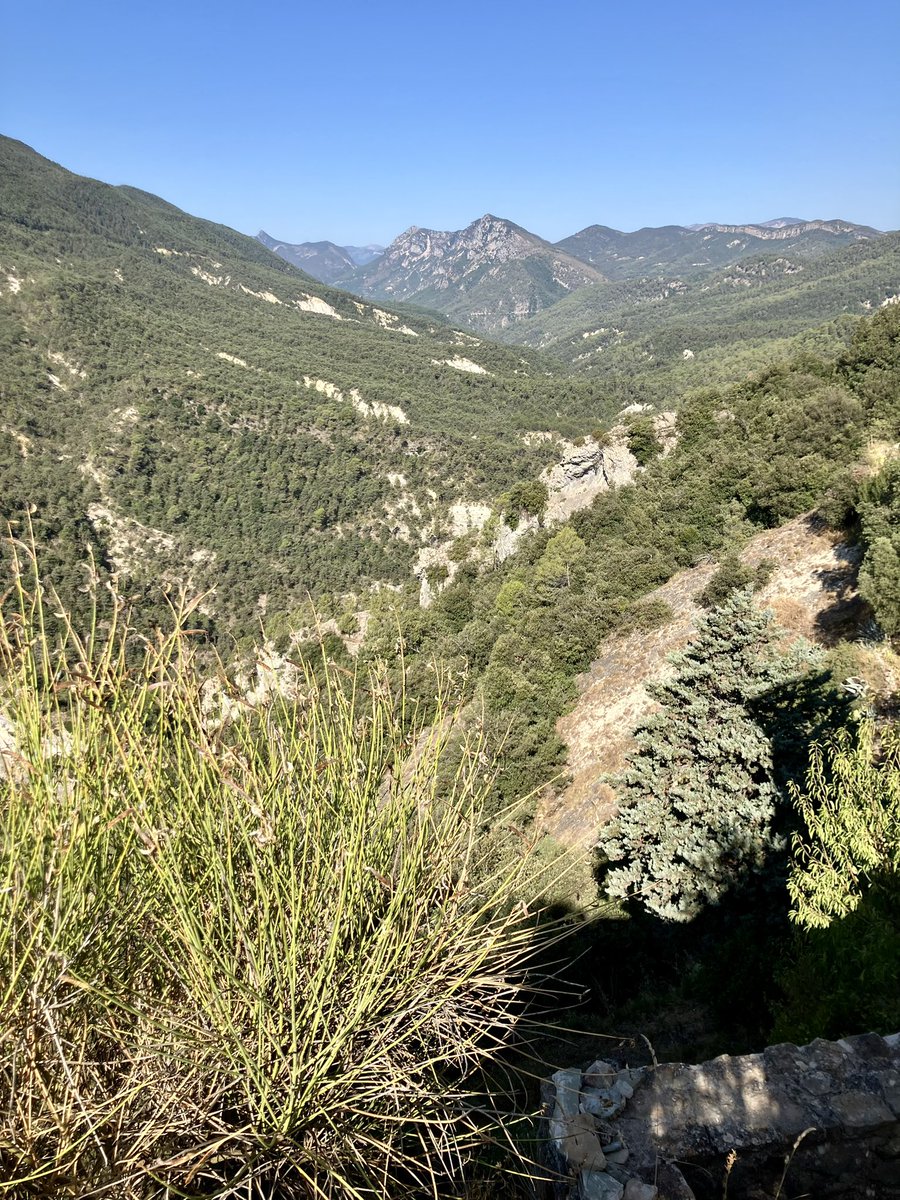 NualaCj's tweet photo. Early morning, the coolest part of the day! 😎 #alpesmaritimes #CotedAzurFrance #pierrefeu #happymonday https://t.co/rPsPmYnWwr