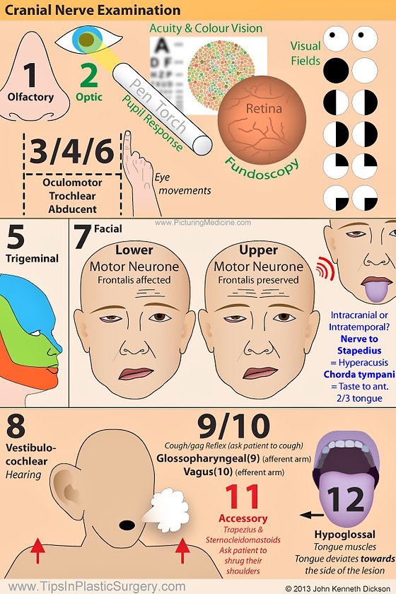 Oren Gottfried, MD tweet media