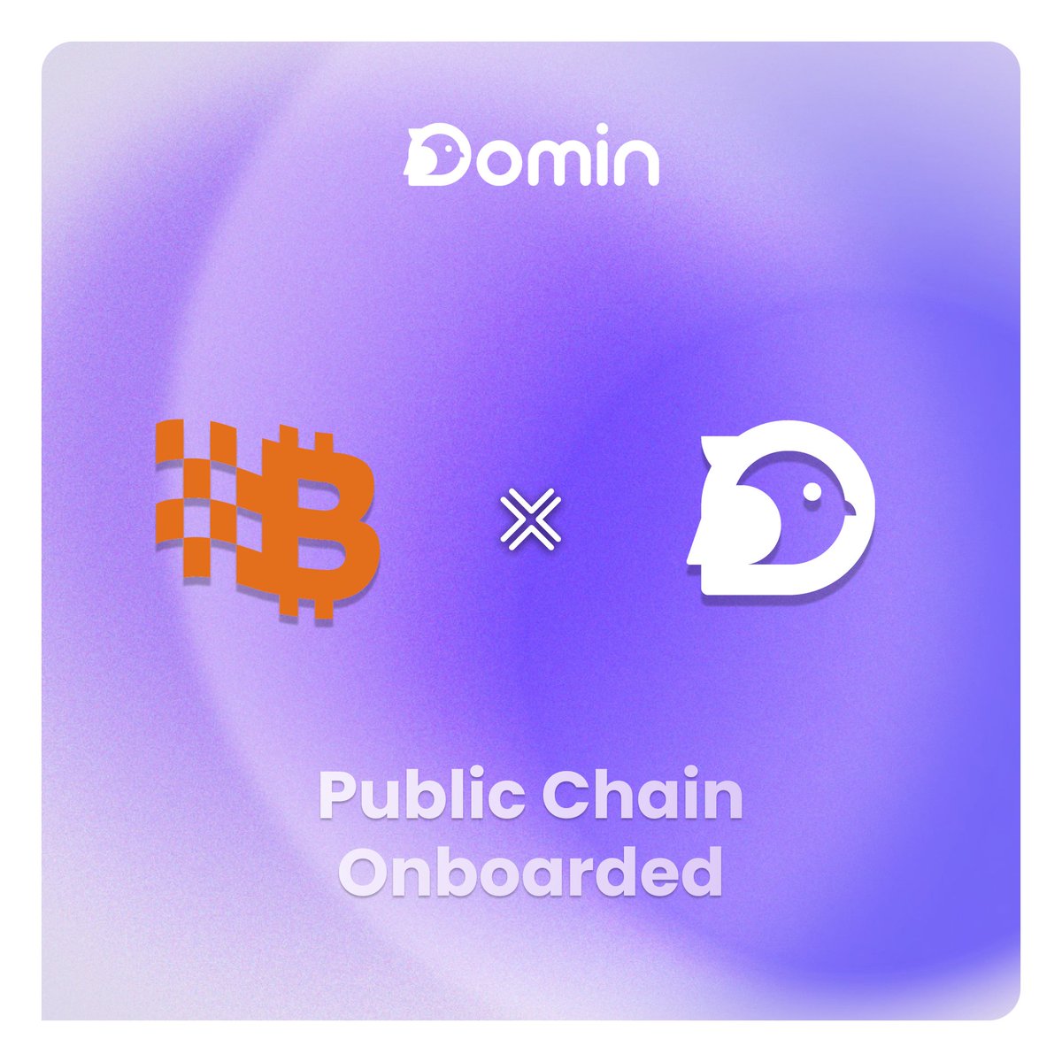 Domin_Network's tweet photo. 🌐Domin Network has integrated with @BitlayerLabs!

Unlock new possibilities on the BTC-EVM chain and enhance your onchain commerce experience🚀

🎁Early bird bonus: First 1000 to mint and redeem get 30 bonus $DOMIN! 

Join the next wave⏩ https://t.co/Q1Lyg4VAOH