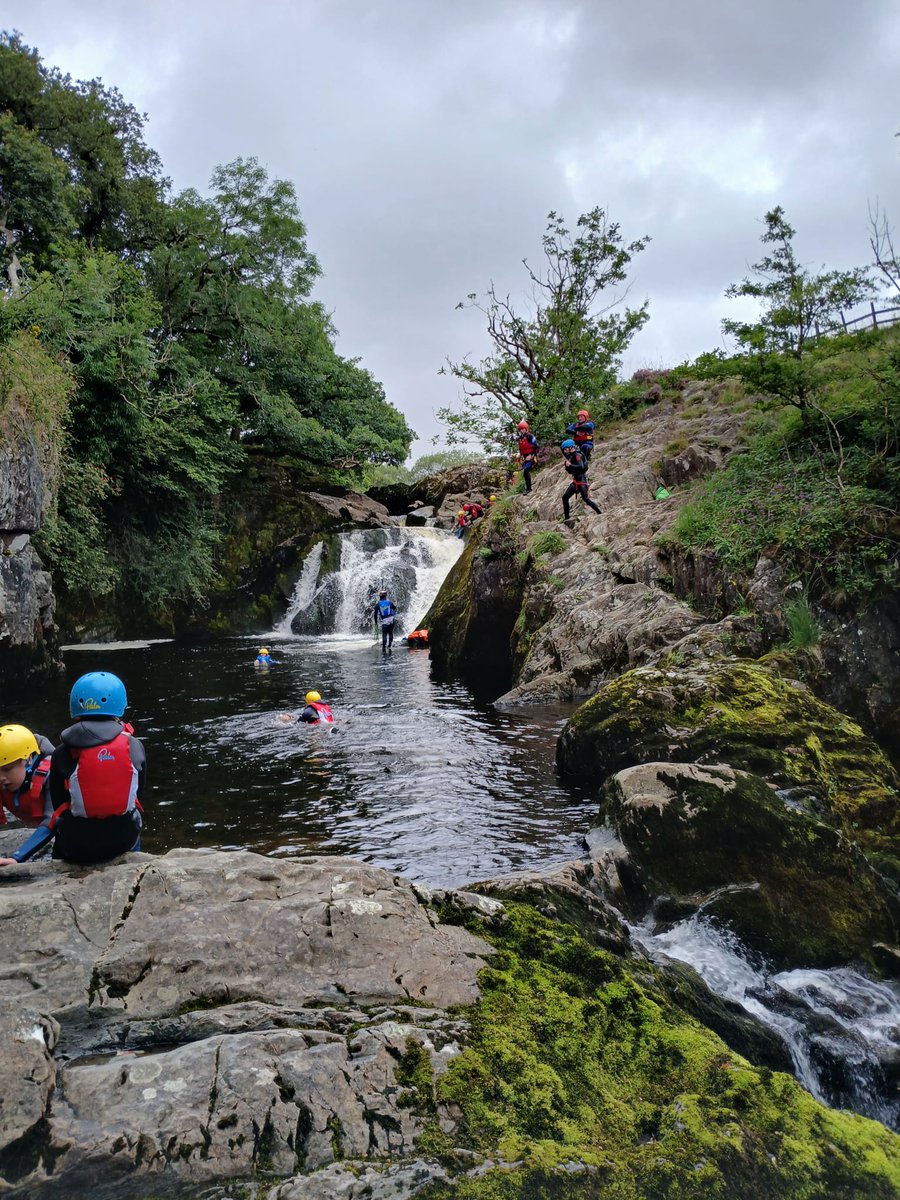 Anna Wilson tweet media