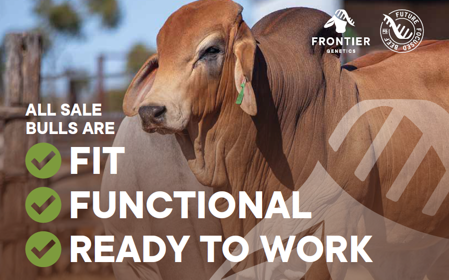 frontiergenetic's tweet photo. Taking the guesswork out of buying bulls.
Frontier Genetics Annual Bull Sale - Online Auction - 29-30 August 2024.
Learn more: https://t.co/Ec9gTn3Dbo https://t.co/wZesPCeoyA