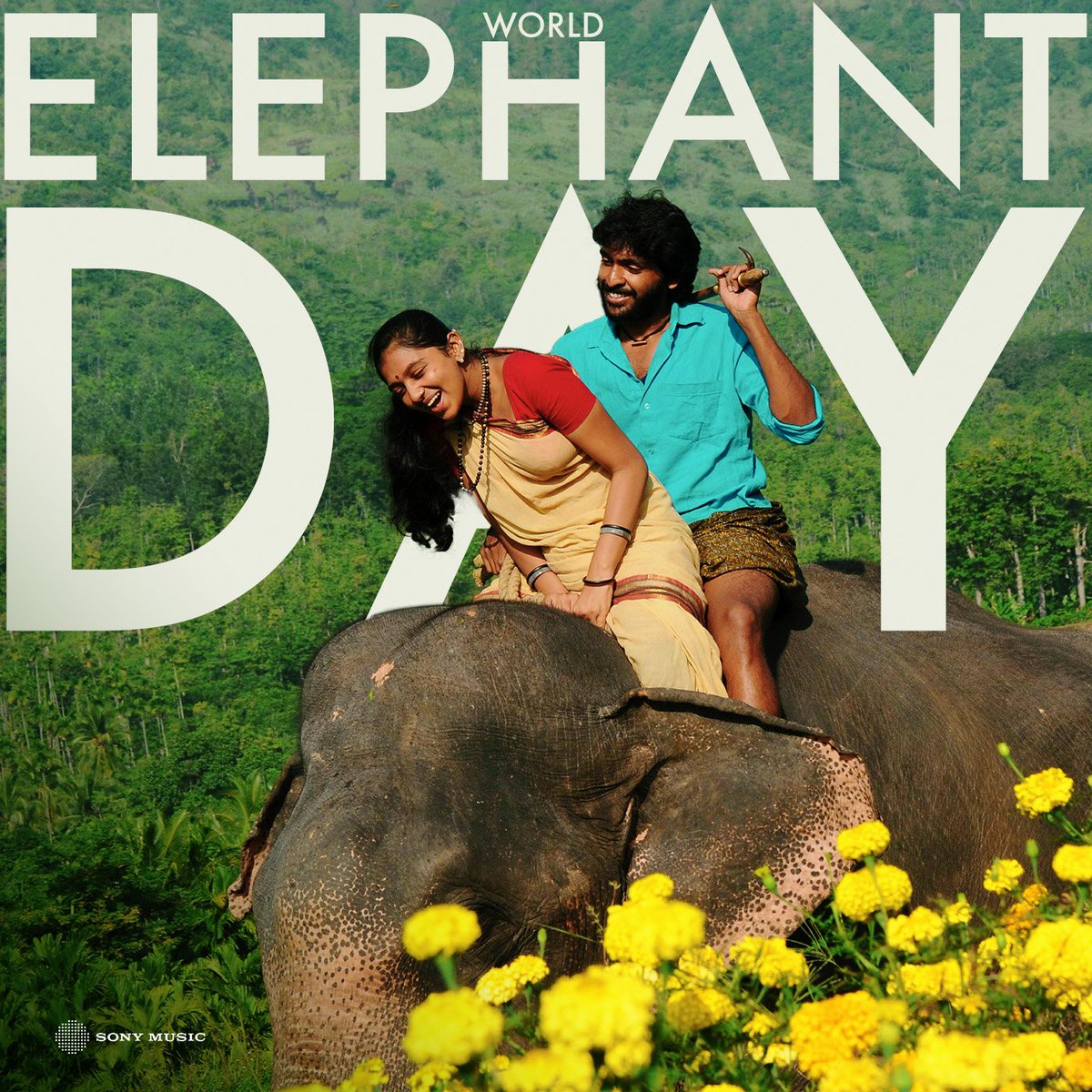 SonyMusicSouth's tweet photo. #WorldElephantDay2024 🐘 with #Kumki 😍

➡️ https://t.co/sB3WAynSSO

#ElephantDay https://t.co/TlhDRUmtX9