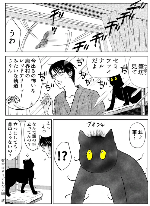 筆坊日記49

#漫画が読めるハッシュタグ #黒猫 #猫好きさんと繋がりたい𓏲𓎨 