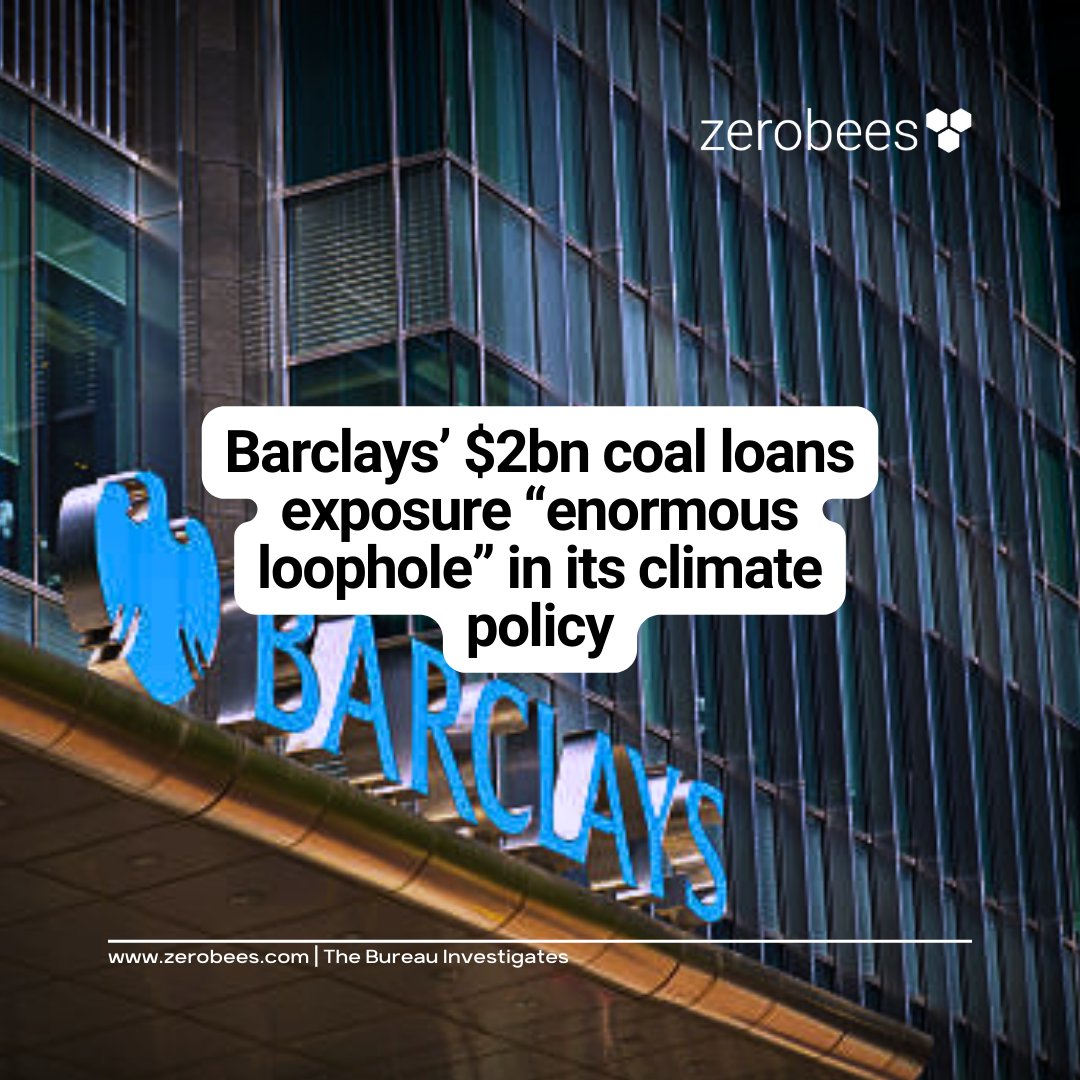 Zerobees tweet media